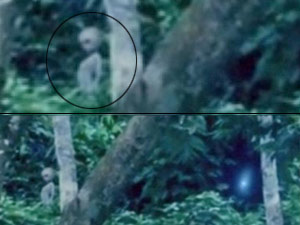 അന്യഗ്രഹ ജീവി വീഡിയോയില് പതിഞ്ഞു അന്യഗ്രഹ ജീവി വീഡിയോയില് പതിഞ്ഞു