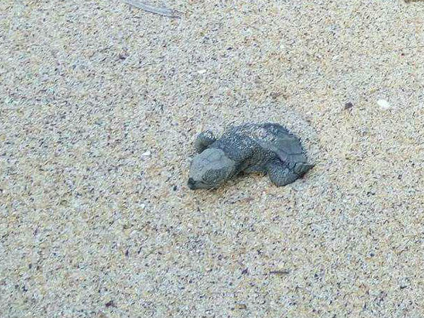 രണ്ടു മാസത്തെ കാത്തിരിപ്പ്