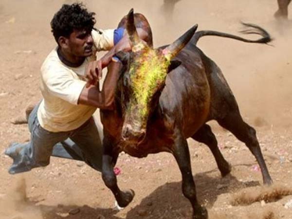 സുപ്രീം കോടതി അംഗീകാരം