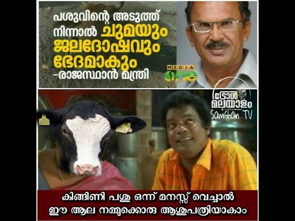 കിങ്ങിണിപ്പശു ഒന്ന്.