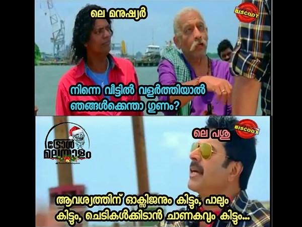 നിന്നെ വളര്ത്തിയാല് എന്ത് കിട്ടും
