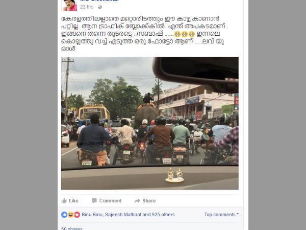 ട്രാഫിക് ബ്ലോക്കില് ഒരു ആന
