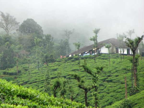 മണ്ണിന് ബലം കുറവാണ്