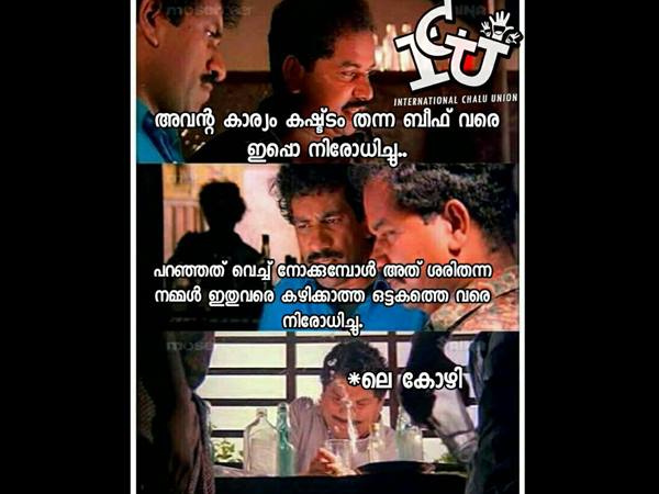 ഒട്ടകത്തെ വരെ
