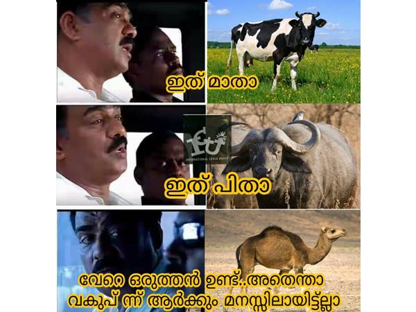 ആര്ക്കും മനസ്സിലായില്ല