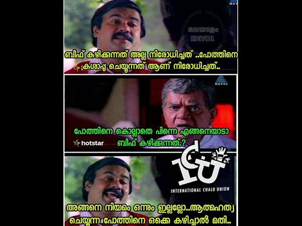 ആത്മഹത്യ ചെയ്യുന്ന പോത്ത്