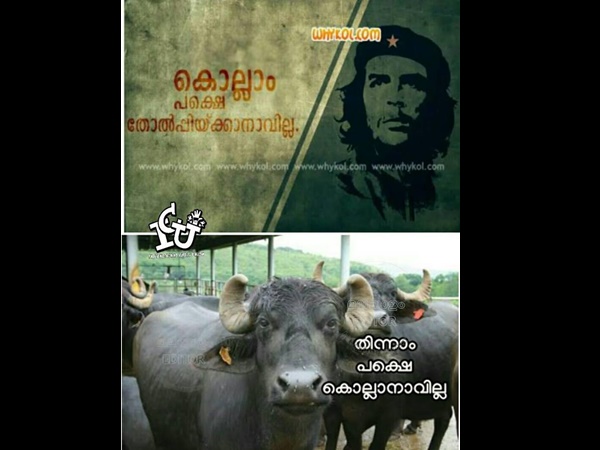 തിന്നാം, പക്ഷേ കൊല്ലാനാവില്ല
