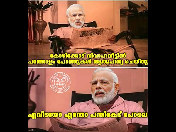 പത്തോളം പോത്തുകള് ആത്മഹത്യ ചെയ്തു!