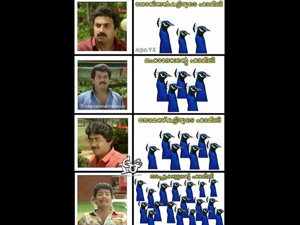 അപ്പുക്കുട്ടന് മയിലിന്റെ ഫാമിലി