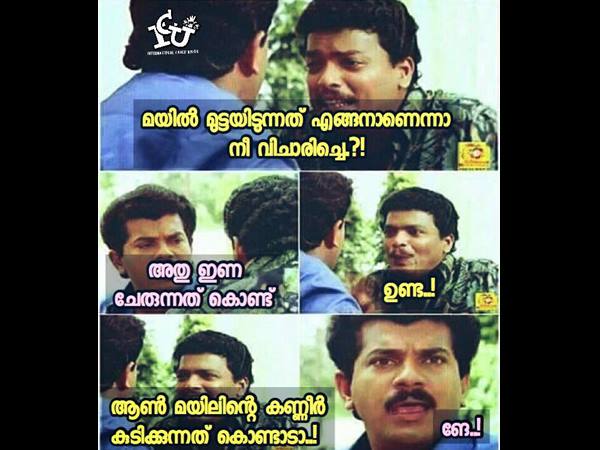 ഉണ്ടയാണ്... ഉണ്ട