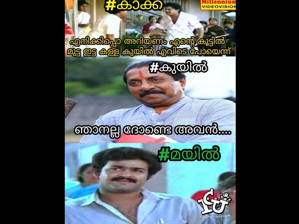അപ്പോ കാക്കയുടെ കൂട്ടില്