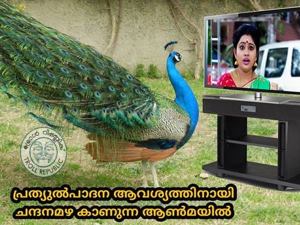 പ്രത്യുത്പാദനാവശ്യത്തിന്
