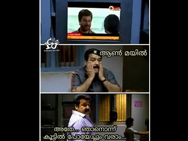 കരയാറായി... ഒന്ന് കൂട്ടില് പോയേക്കാം