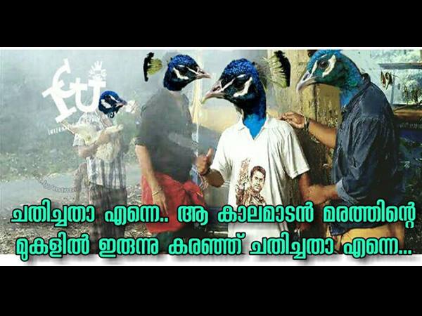 ചതിച്ചതാ... എന്നെ ചതിച്ചതാ