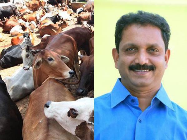 കണ്ണൂരിൽ നടന്നത്