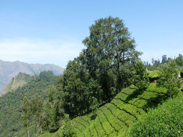 രേഖകൾ ഒന്നും ഇല്ല