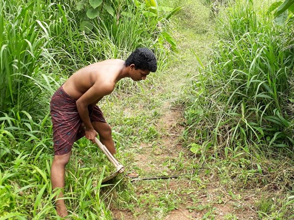 നിങ്ങളെന്നെ കർഷകനാക്കി