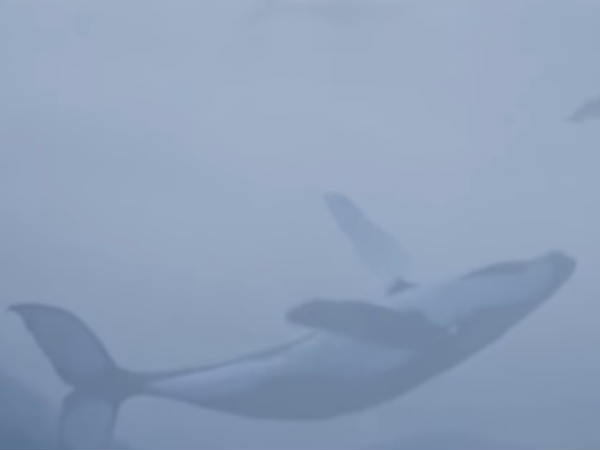 സോഷ്യല് മീഡിയ കണ്ണു തുറപ്പിച്ചു
