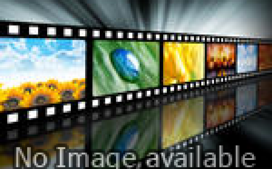 തന്റെ ജീവൻ രക്ഷിച്ചവരോട് ഒരു നയ്ക്കുട്ടി കാണിക്കുന്ന നന്ദിപ്രകടനം കണ്ടോ