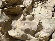 ഭീമന്‍ ദിനോസര്‍ മുട്ട കണ്ടെത്തി