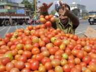 തക്കാളി കിലോയ്ക്ക് 30 പൈസ!