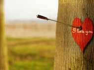 6 വീടുകള്‍ തകര്‍ത്ത് അവന്‍ അവളോട് പറഞ്ഞു, 'ഐ ലവ് യൂ', വീഡിയോ കാണൂ