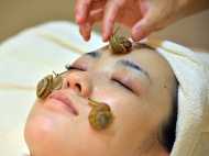 ഒച്ചുകള്‍ സൗന്ദര്യം വര്‍ധിപ്പിക്കാന്‍ ഉത്തമമെന്ന് പഠനം