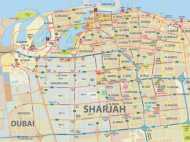 ഇഞ്ചക്ഷന്‍ മാറി കുത്തി മലയാളി നഴ്‌സ് ഷാര്‍ജയില്‍ മരിച്ചു