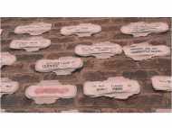 മാസമുറയുമായി ബന്ധപ്പെട്ട രീതികള്‍ ഇല്ലാതാക്കാന്‍ ഒരുക്കൂട്ടം  'പീരീഡ് പ്രൊട്ടസ്റ്റ്'