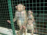 പി എഫ് എ സെന്ററില്‍ വരൂ; മനുഷ്യത്വം എന്താണെന്നു കാണാം!!!