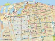 ഷാര്‍ജ: 9 മാസം പ്രായമുള്ള കുഞ്ഞിനെ വീട്ടുജോലിക്കാരി മന്ത്രവാദം കൊണ്ട് രോഗിയാക്കി