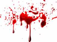 വാഹന പരിശോധനയ്ക്കിടെ എസ്‌ഐയെ ബൈക്കിടിച്ചു തെറിപ്പിച്ചു; എസ്‌ഐ ഐസിയുവില്‍...