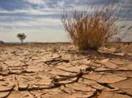 കേരളം ചുട്ടുപൊള്ളും, ജലക്ഷാമം രൂക്ഷമാവും, വേനല്‍ മഴ ഉടനില്ലെന്ന്!!