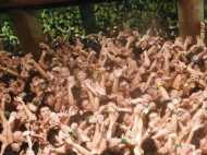 ഒന്നും രണ്ടുമല്ല..പതിനായിരങ്ങള്‍ നഗ്നരായി തെരുവില്‍..!! എത്ര മനോഹരമായ ആചാരങ്ങള്‍..!!