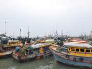 സംസ്ഥാനത്ത് മല്‍സ്യക്ഷാമം വന്നേക്കും!! ബുധന്‍ മുതല്‍ ട്രോളിങ് നിരോധനം...