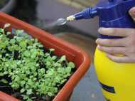 ഗാർഹിക കീടനാശിനികളുടെ വിൽപ്പന നിയന്ത്രണത്തിന് കർശന നടപടി