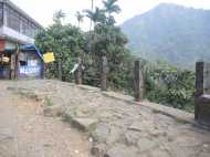 പക്രം തളം ചുരം റോഡില്‍ സാമൂഹ്യ വിരുദ്ധ ശല്യം രൂക്ഷം;സംരക്ഷണ ഭിത്തിയുടെ കൈവരികള്‍ തകര്‍ത്തു