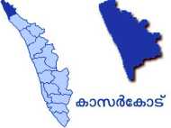 വന്‍മതില്‍ തീര്‍ത്ത് കണ്ടെയ്‌നര്‍ ലോറികള്‍; നടപടി വേണമെന്ന് നാട്ടുകാര്‍