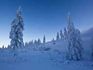 മഞ്ഞിനാല്‍ ചുറ്റപ്പെട്ടൊരു ഗ്രാമം,  ഒയ്മ്യാകോണ്‍ എന്ന സ്വപ്‌ന ഭൂമിക്ക് വിശേഷണങ്ങള്‍ ഏറെ