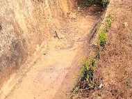 കാടുമൂടി  കനാലുകൾ;  ശുചീകരണവും അറ്റകുറ്റപ്പണിയും നീളുന്നു