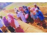 നീർത്തടങ്ങൾ സംരക്ഷിക്കാൻ  കയർ ഭൂ വസ്ത്രം വ്യാപകമാകുന്നു; കാർഷിക മേഖലയ്ക്ക് പുത്തൻ പ്രതീക്ഷ