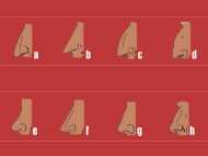 മൂക്കിന്‍റെ അറ്റം പൊയിന്‍റഡ് ആണോ.. അറിയാം മൂക്കിന്‍റെ ആകൃതിയും സ്വഭാവവും