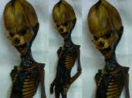 വെറും ആറിഞ്ച് നീളമുള്ള അസ്ഥികൂടം, 10 വാരിയെല്ല്... അത് ആരുടെ? അറ്റക്കാമ അസ്ഥികൂടം അന്യഗ്രഹ ജീവിയോ?