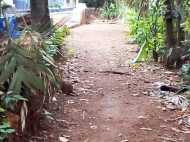 പൊതു തോട് സ്വകാര്യ വ്യക്തി മണ്ണിട്ട് നികത്തി,പരാതി നൽകിയിട്ടും നടപടിയില്ല