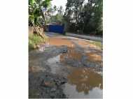 തോട്ടപ്പാടന്‍പടി  പുളിയാമ്പിള്ളി റോഡ് - ടെന്‍ഡര്‍ നടപടികള്‍ തുടങ്ങി