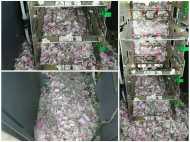 എസ്ബിഐയുടെ എടിഎമ്മില്‍ എലികളുടെ സര്‍ജിക്കല്‍ സ്ട്രൈക്ക്! കരണ്ട് തിന്നത് 12 ലക്ഷം രൂപ!!