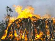 സ്വന്തമായി ആറടിമണ്ണില്ല; പട്ടികജാതിക്കാരിക്ക് റോഡരികിൽ ചിതയൊരുക്കി