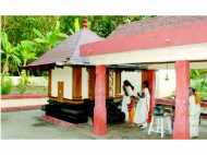 ലോകത്തിലെ ഏക ചിലന്തി ക്ഷേത്രം; വിസ്മയിപ്പിക്കുന്ന ചികിത്സയും... പള്ളിയറക്കാവ് ദേവീക്ഷേത്ര ചരിത്രം...