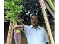 നിപ്പാ: ഹോമിയോ ഫലപ്രദം സര്‍ക്കാര്‍ ഭയക്കുന്നതെന്തിന് ?  ഡോ. അബ്ദുല്‍ ലത്തീഫ്