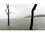 ജില്ലയിലെ അണക്കെട്ടുകള്‍ ജലസമൃദ്ധിയില്‍; ബാണാസുര സാഗര്‍ ഡാമിന്റെ ഷട്ടറുകള്‍ തുറന്നേക്കും; അതീവജാഗ്രതാ നിര്‍ദേശം